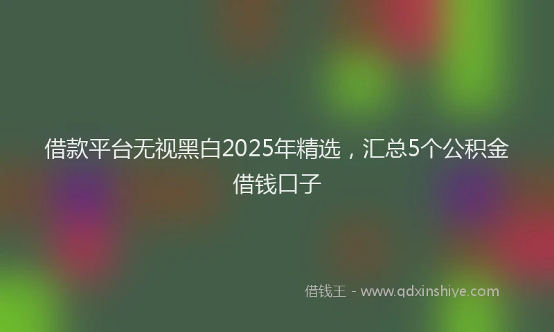 借款平台无视黑白2025年精选，汇总5个公积金借钱口子
