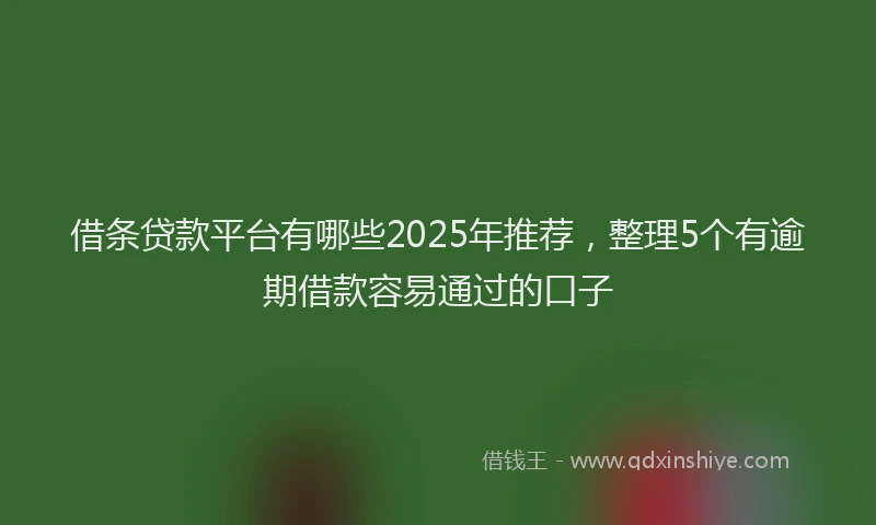 借条贷款平台有哪些2025年推荐,整理5个有逾期借款容易通过的口子