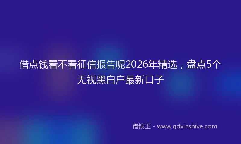 借点钱看不看征信报告呢2026年精选,盘点5个无视黑白户最新口子