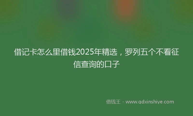 借记卡怎么里借钱2025年精选，罗列五个不看征信查询的口子