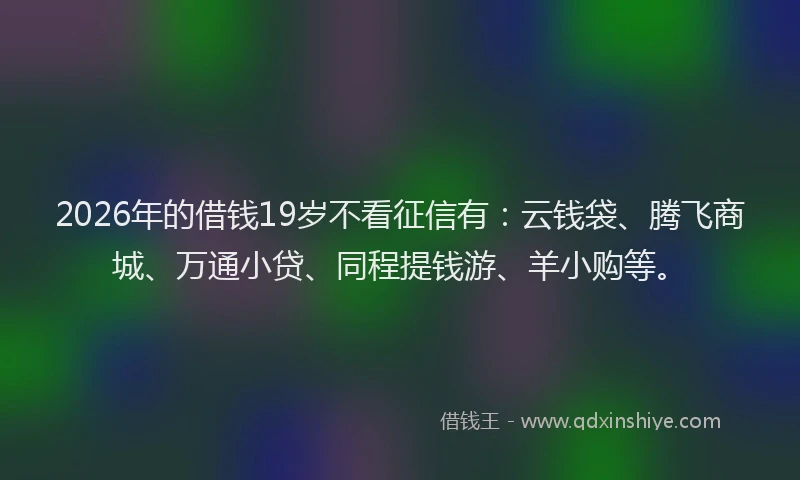2026年的借钱19岁不看征信有：云钱袋、腾飞商城、万通小贷、同程提钱游、羊小购等。