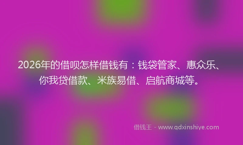 2026年的借呗怎样借钱有：钱袋管家、惠众乐、你我贷借款、米族易借、启航商城等。