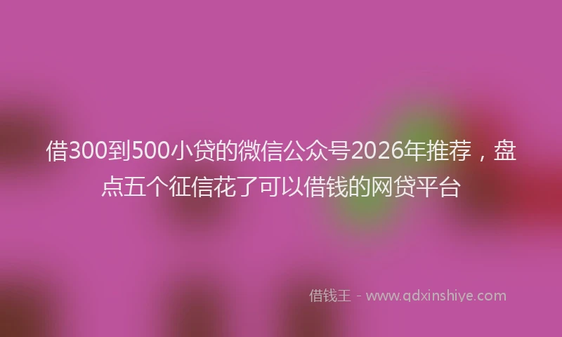 借300到500小贷的微信公众号2026年推荐,盘点五个征信花了可以借钱的网贷平台