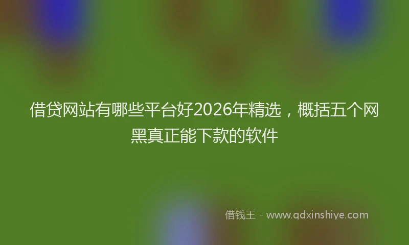 借贷网站有哪些平台好2026年精选，概括五个网黑真正能下款的软件