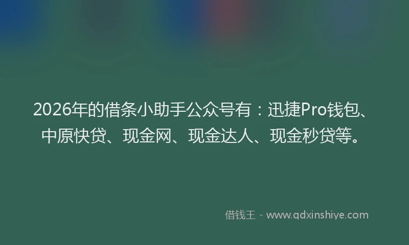 2026年的借条小助手公众号有:迅捷Pro钱包、中原快贷、现金网、现金达人、现金秒贷等。