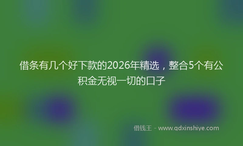 借条有几个好下款的2026年精选，整合5个有公积金无视一切的口子