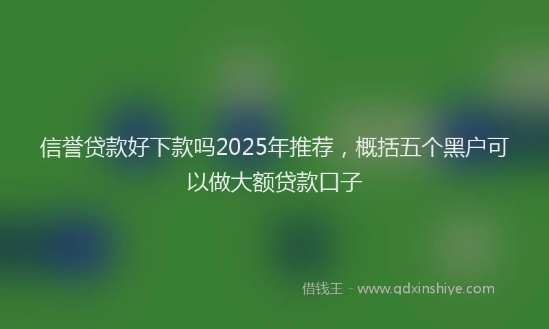 信誉贷款好下款吗2025年推荐，概括五个黑户可以做大额贷款口子