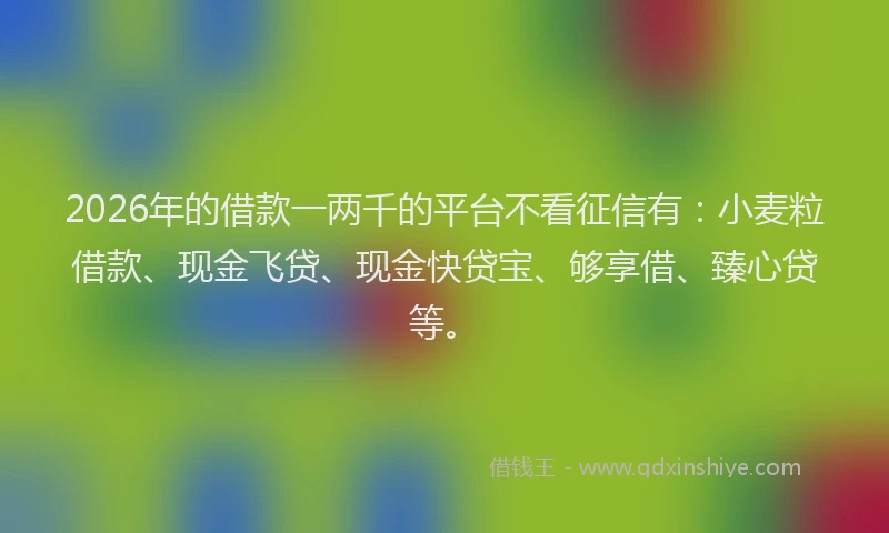 2026年的借款一两千的平台不看征信有：小麦粒借款、现金飞贷、现金快贷宝、够享借、臻心贷等。