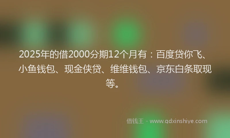 2025年的借2000分期12个月有:百度贷你飞、小鱼钱包、现金侠贷、维维钱包、京东白条取现等。