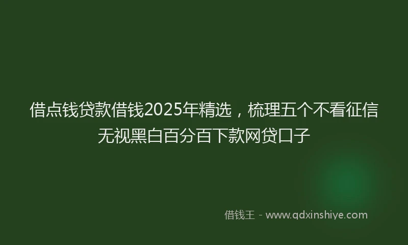借点钱贷款借钱2025年精选，梳理五个不看征信无视黑白百分百下款网贷口子