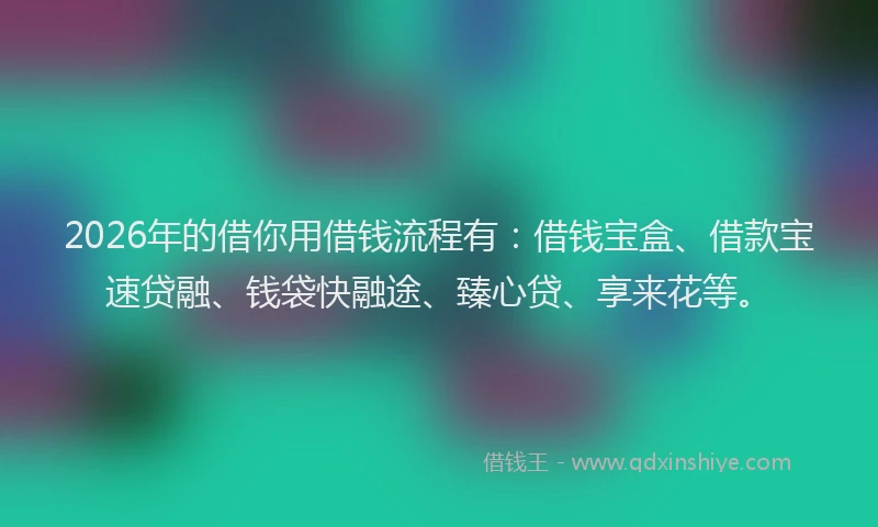 2026年的借你用借钱流程有：借钱宝盒、借款宝速贷融、钱袋快融途、臻心贷、享来花等。