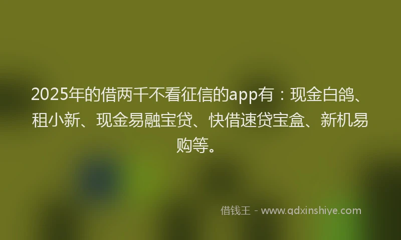 2025年的借两千不看征信的app有：现金白鸽、租小新、现金易融宝贷、快借速贷宝盒、新机易购等。