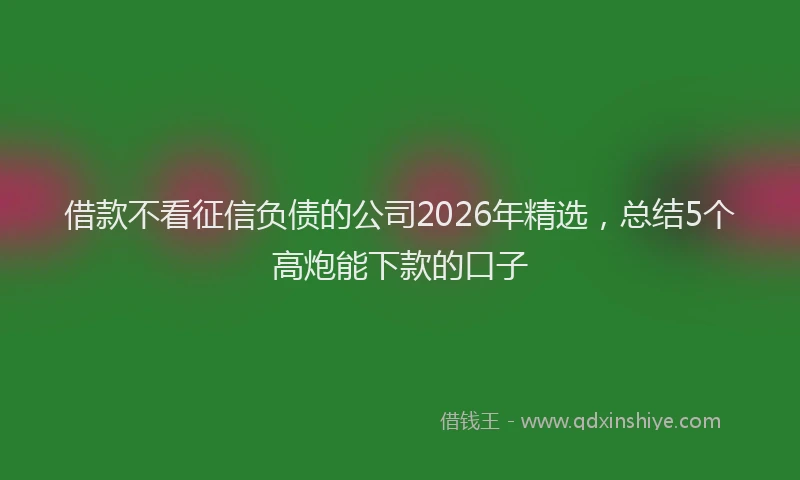 借款不看征信负债的公司2026年精选,总结5个高炮能下款的口子