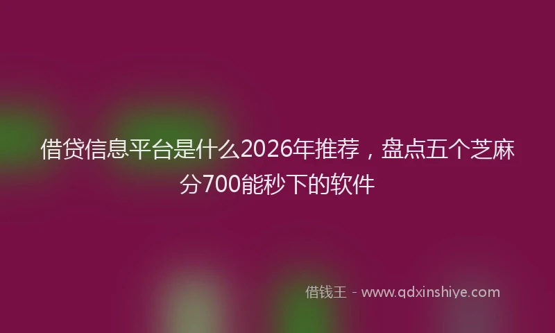 借贷信息平台是什么2026年推荐，盘点五个芝麻分700能秒下的软件