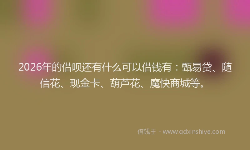 2026年的借呗还有什么可以借钱有：甄易贷、随信花、现金卡、葫芦花、魔快商城等。