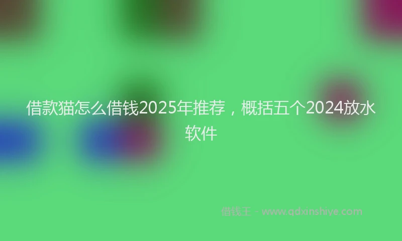 借款猫怎么借钱2025年推荐,概括五个2024放水软件