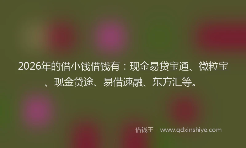 2026年的借小钱借钱有:现金易贷宝通、微粒宝、现金贷途、易借速融、东方汇等。