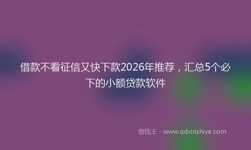 借款不看征信又快下款2026年推荐，汇总5个必下的小额贷款软件