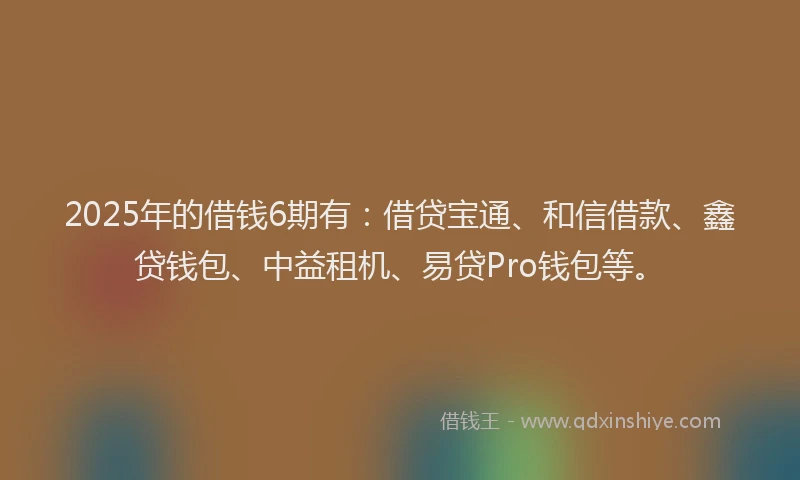 2025年的借钱6期有:借贷宝通、和信借款、鑫贷钱包、中益租机、易贷Pro钱包等。
