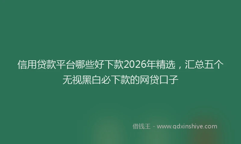 信用贷款平台哪些好下款2026年精选，汇总五个无视黑白必下款的网贷口子