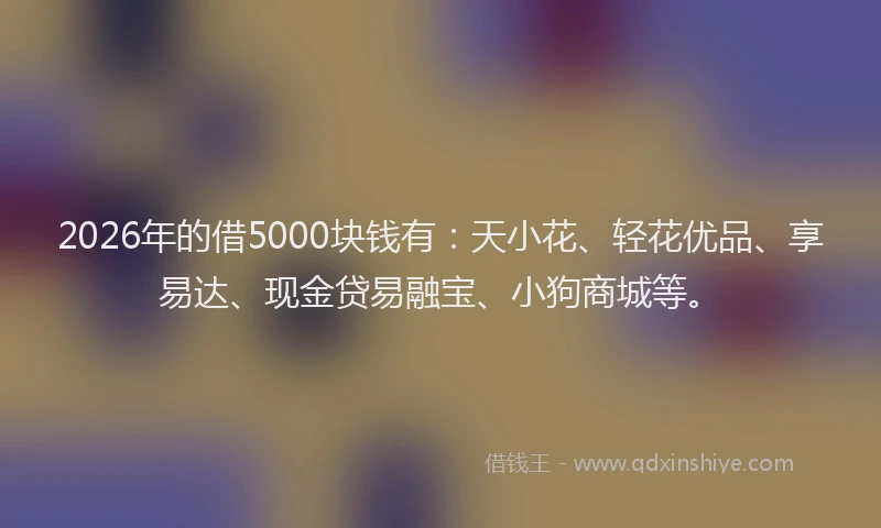 2026年的借5000块钱有:天小花、轻花优品、享易达、现金贷易融宝、小狗商城等。
