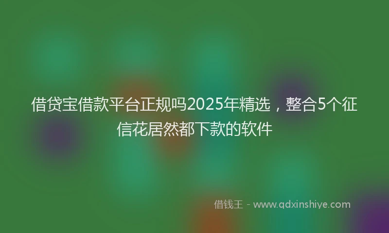 借贷宝借款平台正规吗2025年精选，整合5个征信花居然都下款的软件