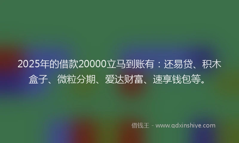 2025年的借款20000立马到账有:还易贷、积木盒子、微粒分期、爱达财富、速享钱包等。
