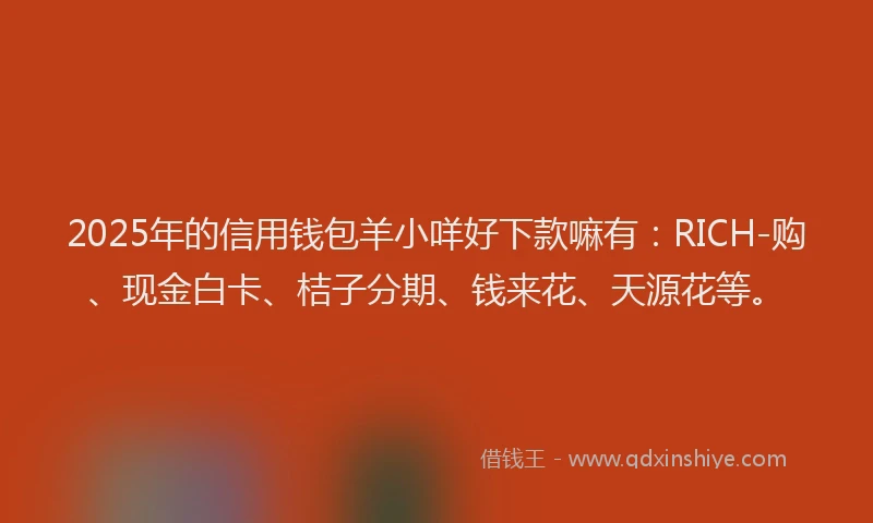 2025年的信用钱包羊小咩好下款嘛有：RICH-购、现金白卡、桔子分期、钱来花、天源花等。