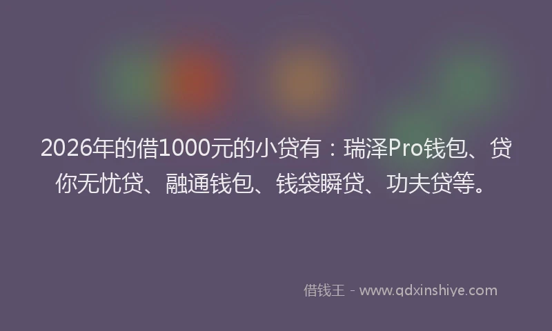 2026年的借1000元的小贷有:瑞泽Pro钱包、贷你无忧贷、融通钱包、钱袋瞬贷、功夫贷等。