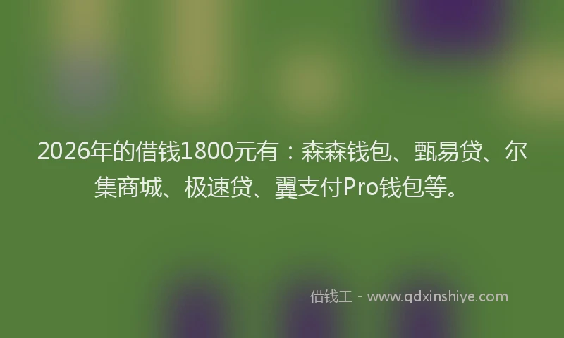 2026年的借钱1800元有:森森钱包、甄易贷、尔集商城、极速贷、翼支付Pro钱包等。