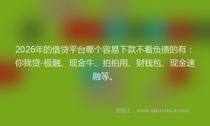 2026年的借贷平台哪个容易下款不看负债的有：你我贷-极融、现金牛、拍拍用、财钱包、现金速融等。
