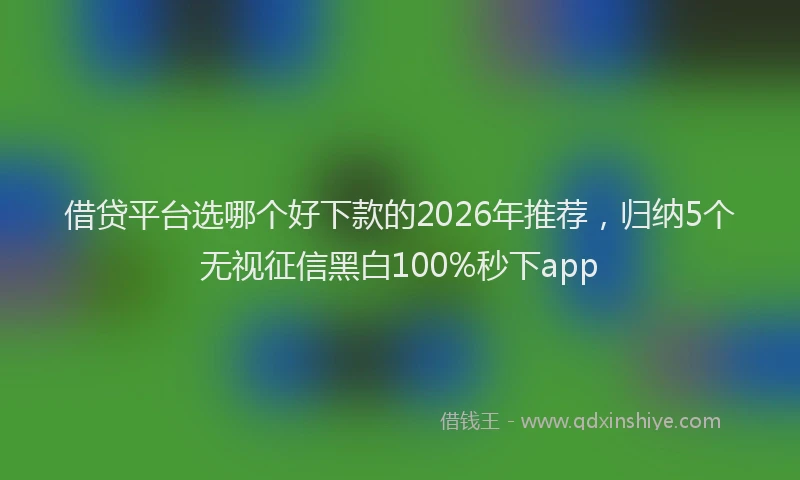 借贷平台选哪个好下款的2026年推荐，归纳5个无视征信黑白100%秒下app