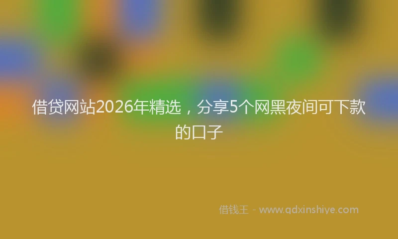 借贷网站2026年精选，分享5个网黑夜间可下款的口子