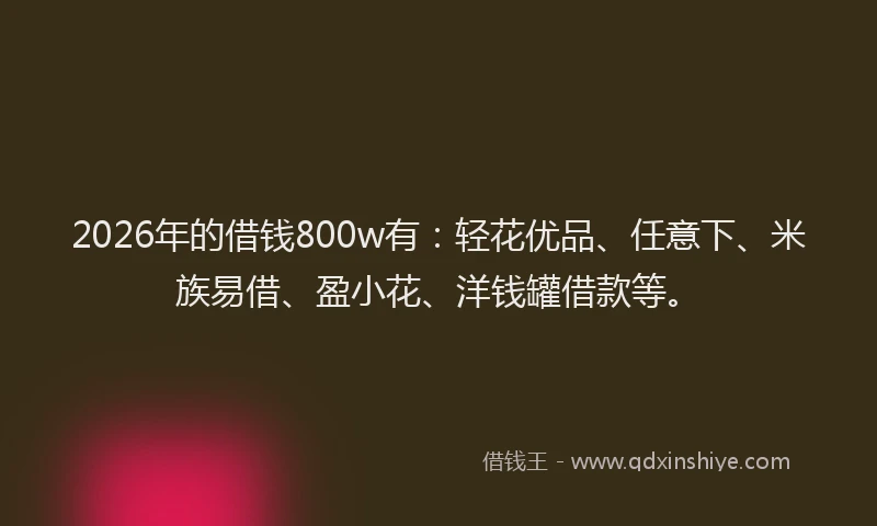 2026年的借钱800w有：轻花优品、任意下、米族易借、盈小花、洋钱罐借款等。