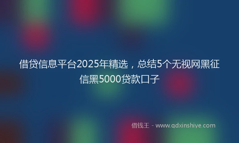 借贷信息平台2025年精选，总结5个无视网黑征信黑5000贷款口子
