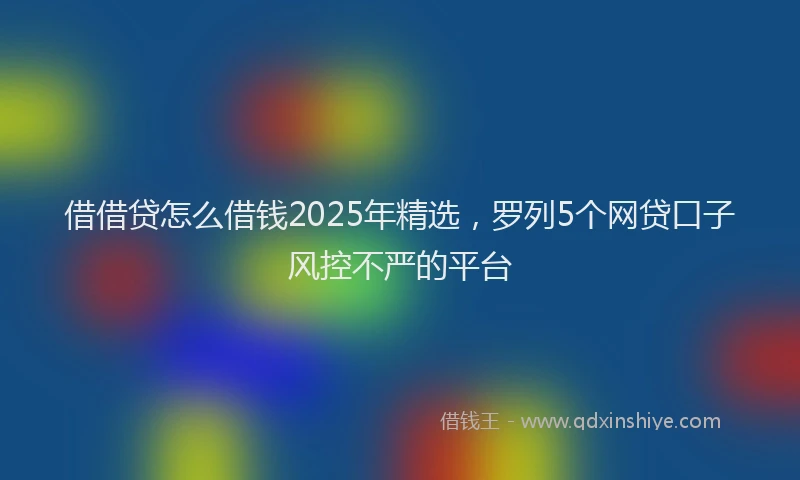 借借贷怎么借钱2025年精选，罗列5个网贷口子风控不严的平台