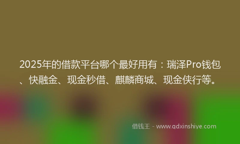 2025年的借款平台哪个最好用有：瑞泽Pro钱包、快融金、现金秒借、麒麟商城、现金侠行等。