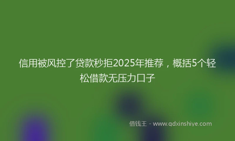信用被风控了贷款秒拒2025年推荐，概括5个轻松借款无压力口子