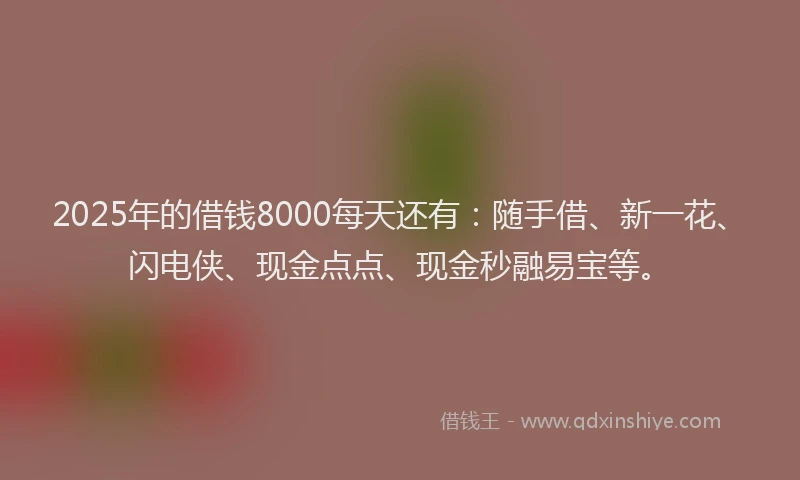 2025年的借钱8000每天还有：随手借、新一花、闪电侠、现金点点、现金秒融易宝等。
