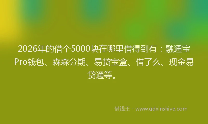 2026年的借个5000块在哪里借得到有：融通宝Pro钱包、森森分期、易贷宝盒、借了么、现金易贷通等。