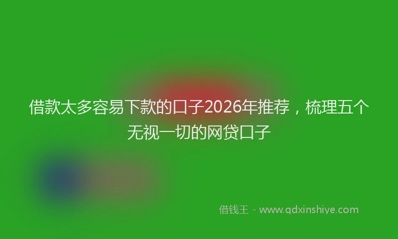 借款太多容易下款的口子2026年推荐，梳理五个无视一切的网贷口子