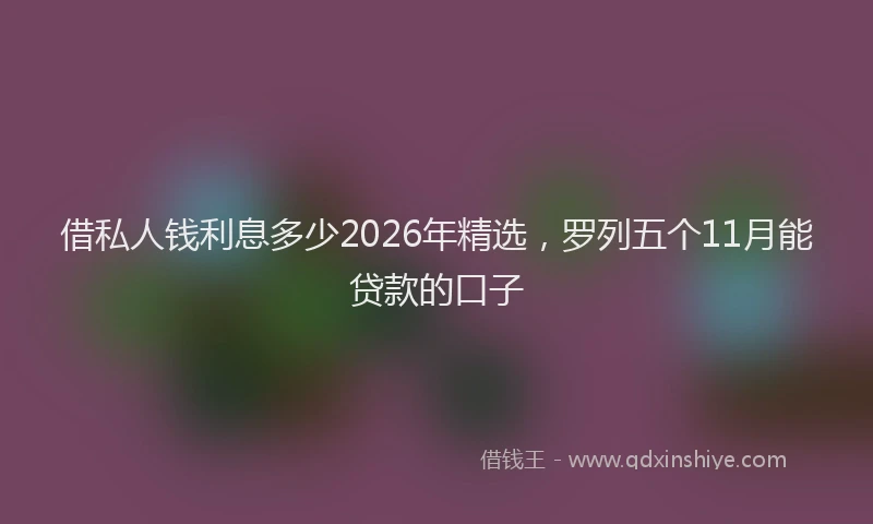 借私人钱利息多少2026年精选,罗列五个11月能贷款的口子