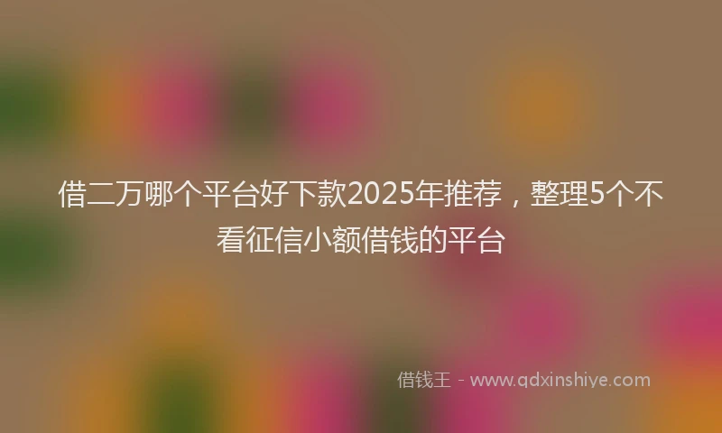 借二万哪个平台好下款2025年推荐，整理5个不看征信小额借钱的平台
