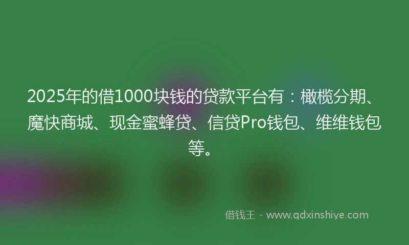 2025年的借1000块钱的贷款平台有：橄榄分期、魔快商城、现金蜜蜂贷、信贷Pro钱包、维维钱包等。