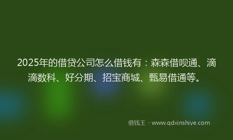 2025年的借贷公司怎么借钱有：森森借呗通、滴滴数科、好分期、招宝商城、甄易借通等。