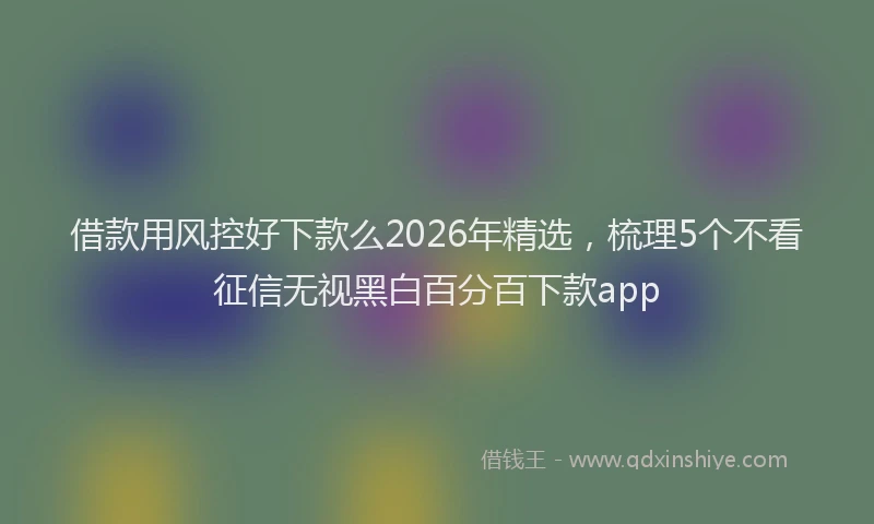 借款用风控好下款么2026年精选,梳理5个不看征信无视黑白百分百下款app