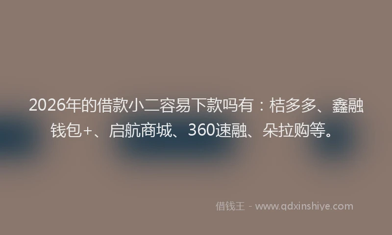 2026年的借款小二容易下款吗有:桔多多、鑫融钱包+、启航商城、360速融、朵拉购等。