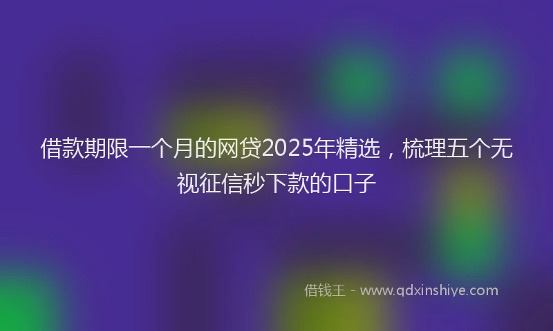 借款期限一个月的网贷2025年精选，梳理五个无视征信秒下款的口子