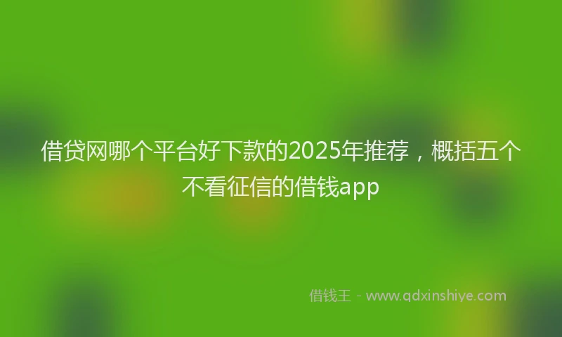 借贷网哪个平台好下款的2025年推荐，概括五个不看征信的借钱app