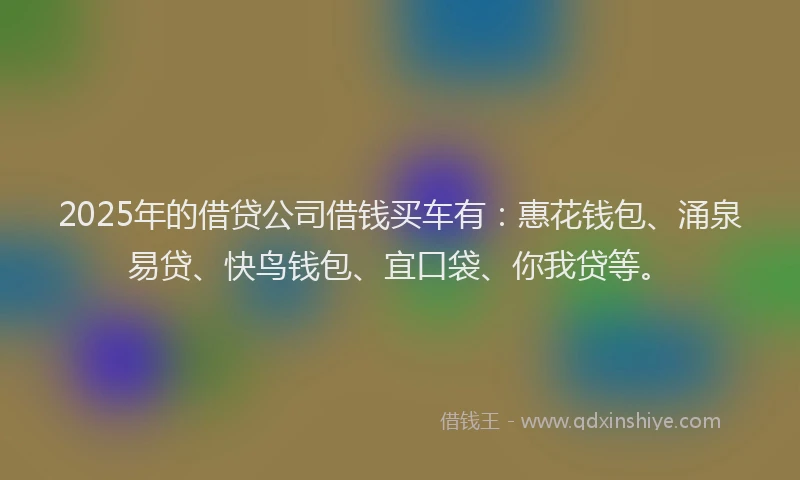 2025年的借贷公司借钱买车有:惠花钱包、涌泉易贷、快鸟钱包、宜口袋、你我贷等。